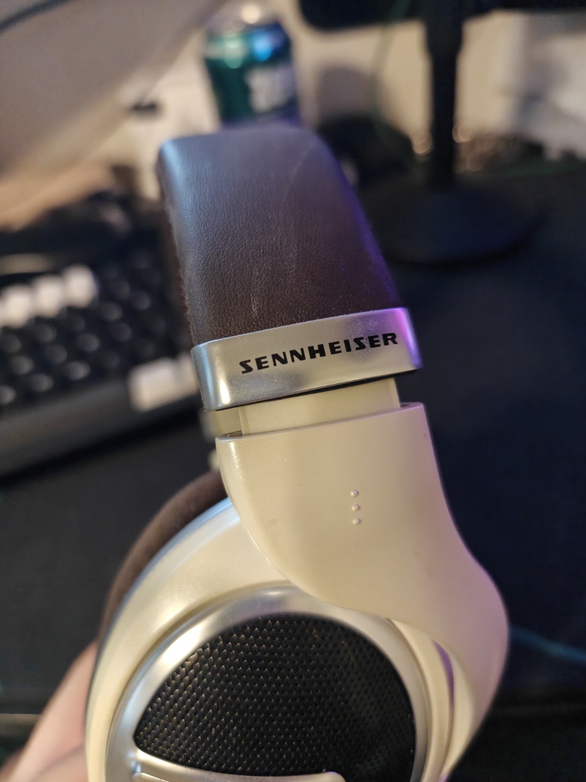 bundle Kiwi Ears x Z Reviews: Serene + Sennheiser HD 599