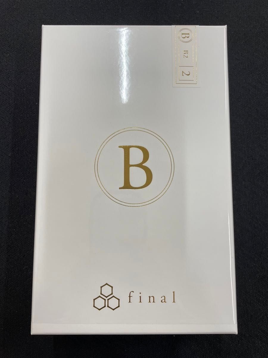 FINAL Audio B1 FI-B1BDSSD Earphones In-Ear Headphones Gold from Japan