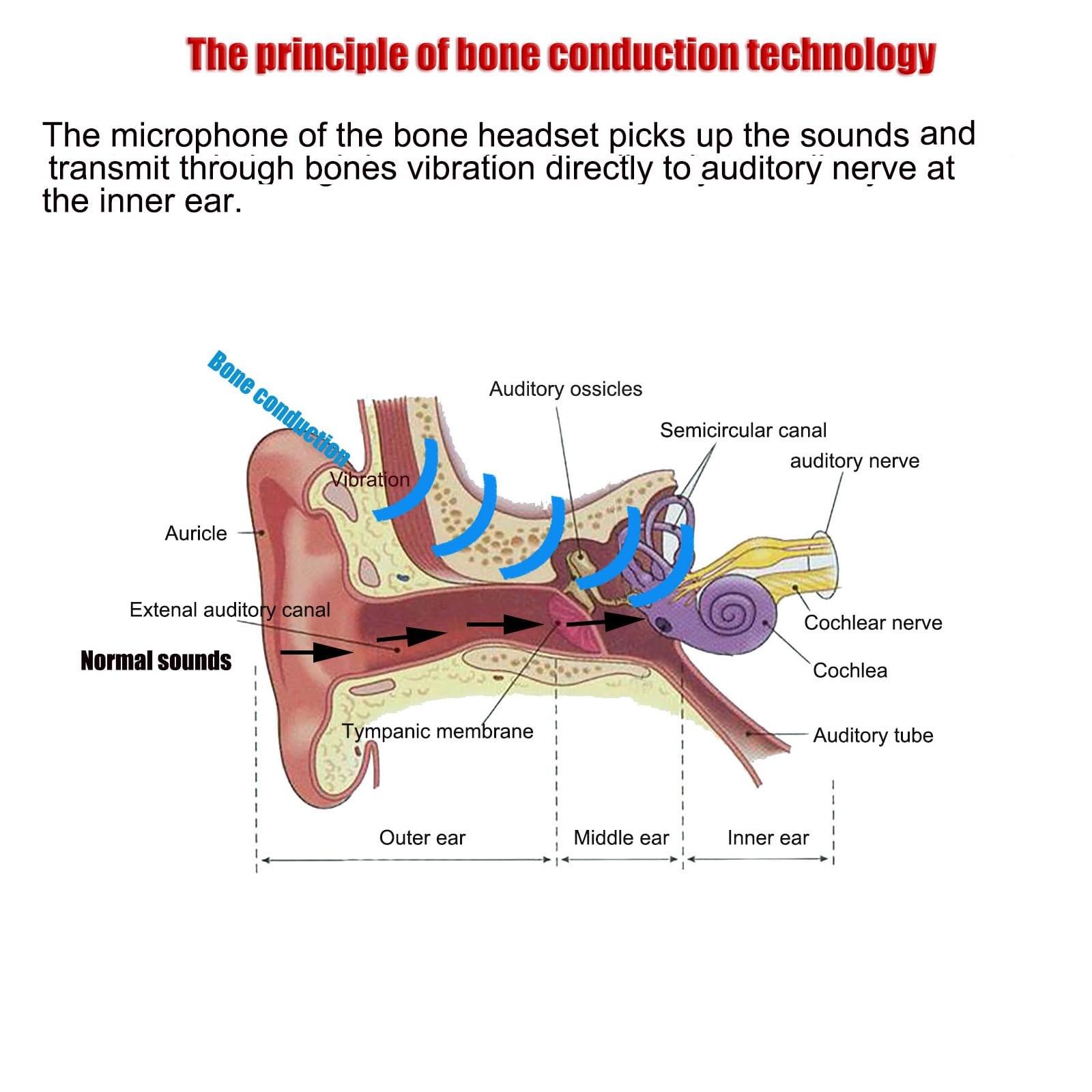Bone Conduction Smart Listening Headsets for Daily Communication