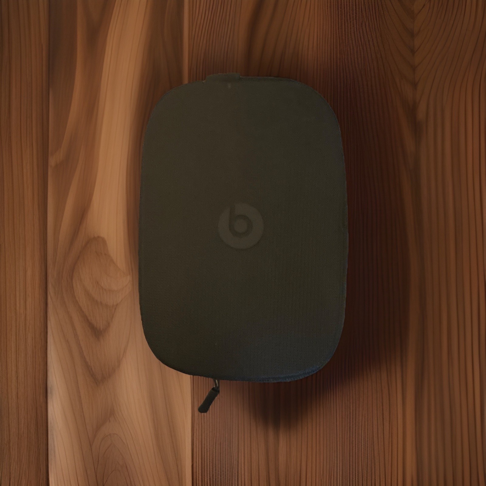 Beats by Dr. Dre Over-Ear Headphones Black/Gray Case USB-C Cable