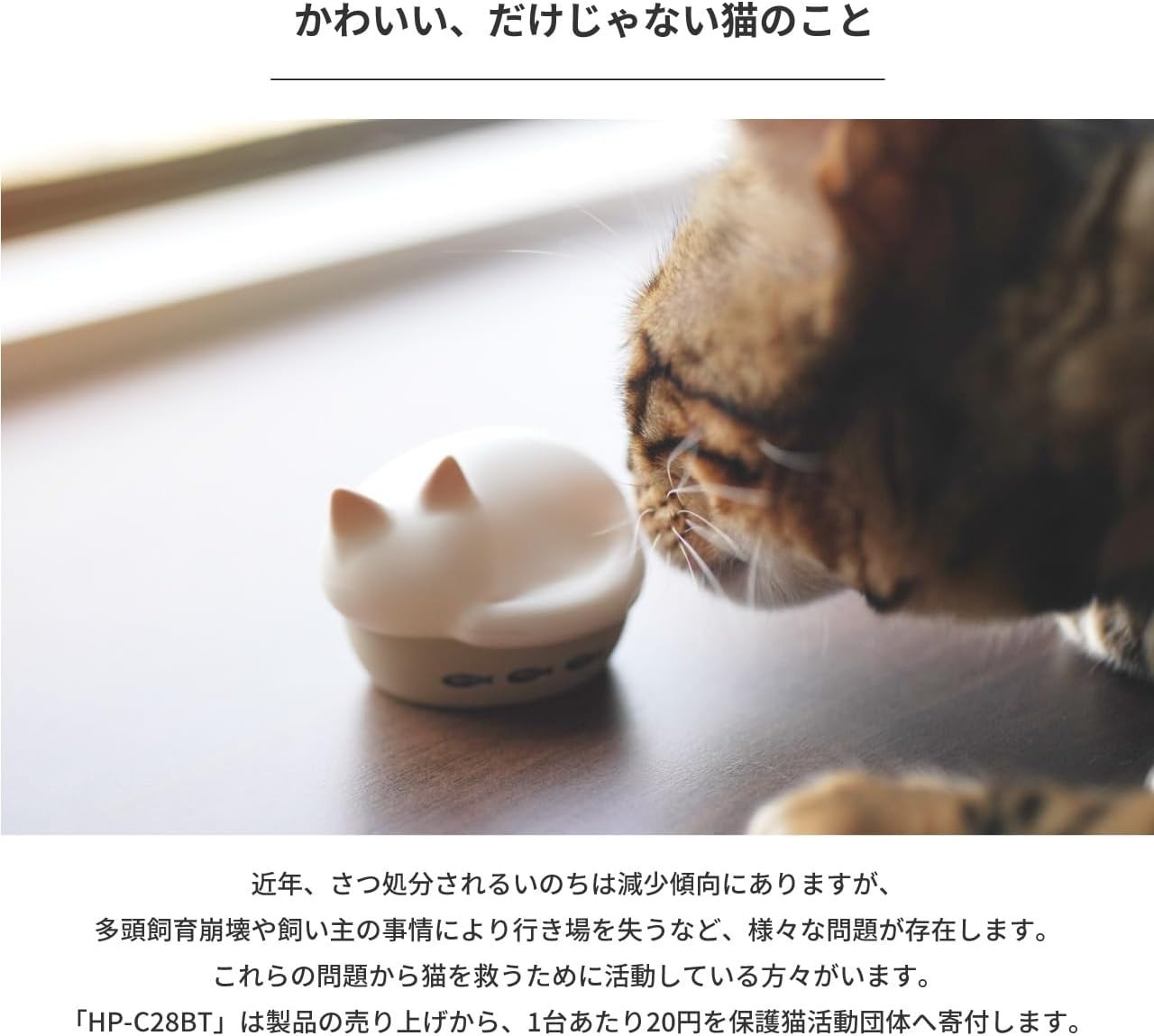 radius NEKO True Wireless Earphones Bluetooth Mike HP-C28BTM Japan New