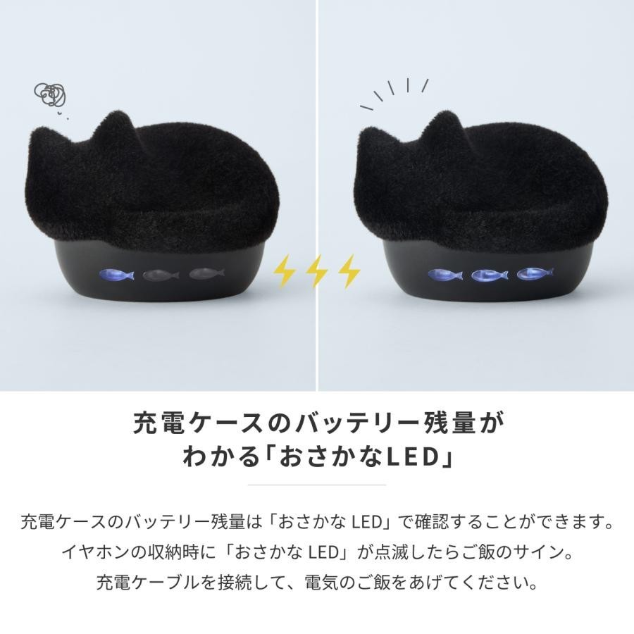 radius NEKO True Wireless Earphones HP-C28BTF Fluffy Flocky ver color Black