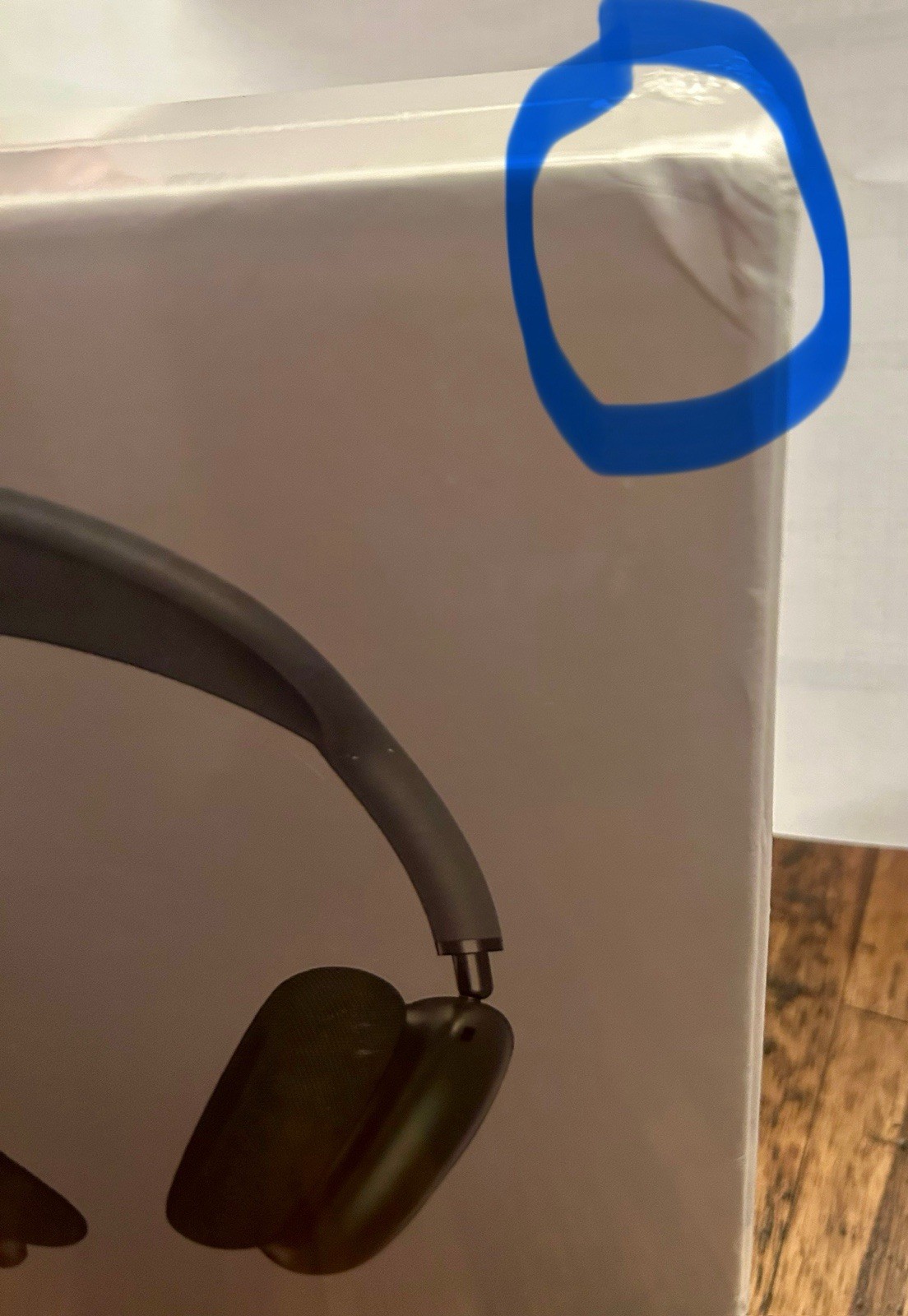 Unbranded ROHS Headphones Ear Cups With Case New Sealed Unopened