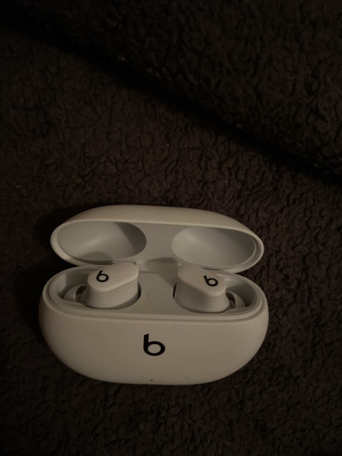 Beats by Dr. Dre Studio Buds – White