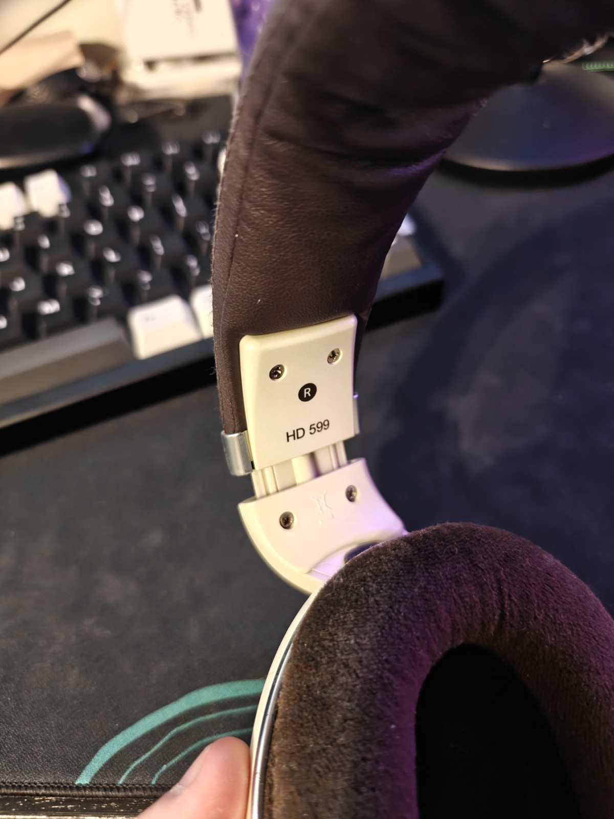 bundle Kiwi Ears x Z Reviews: Serene + Sennheiser HD 599