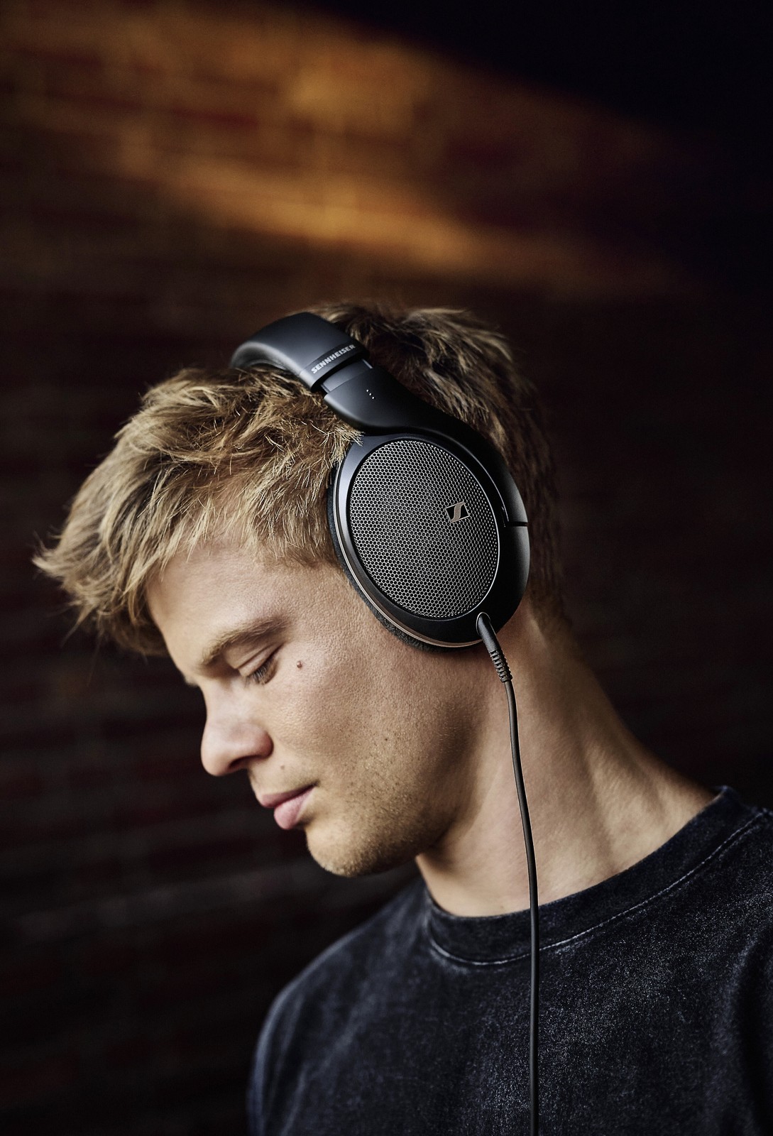 Sennheiser HD550 Over-ear headphones