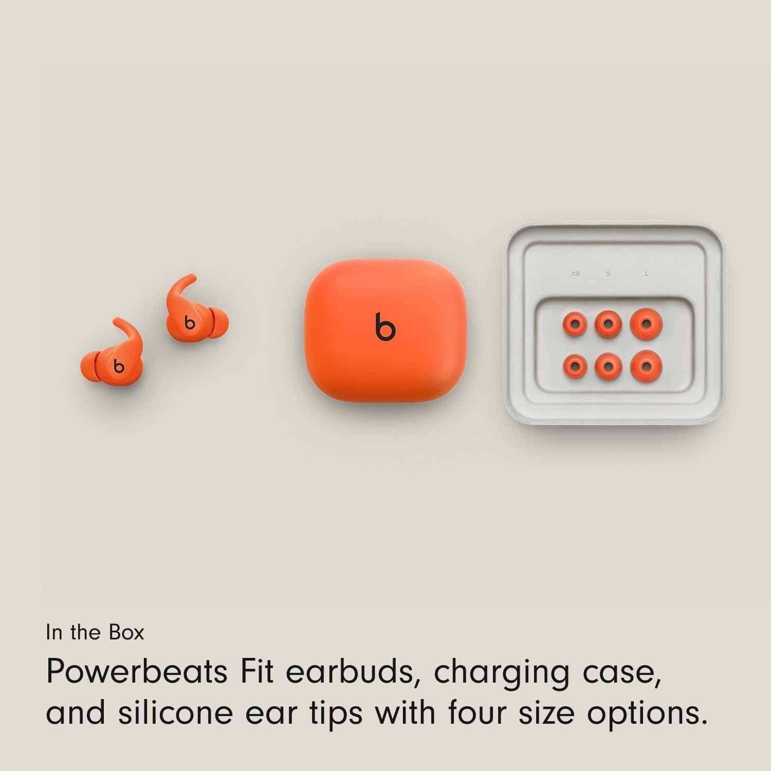 Beats Powerbeats Fit ‎ME2J4LL/A True Wireless Workout Earbuds w/ Wingtips Black