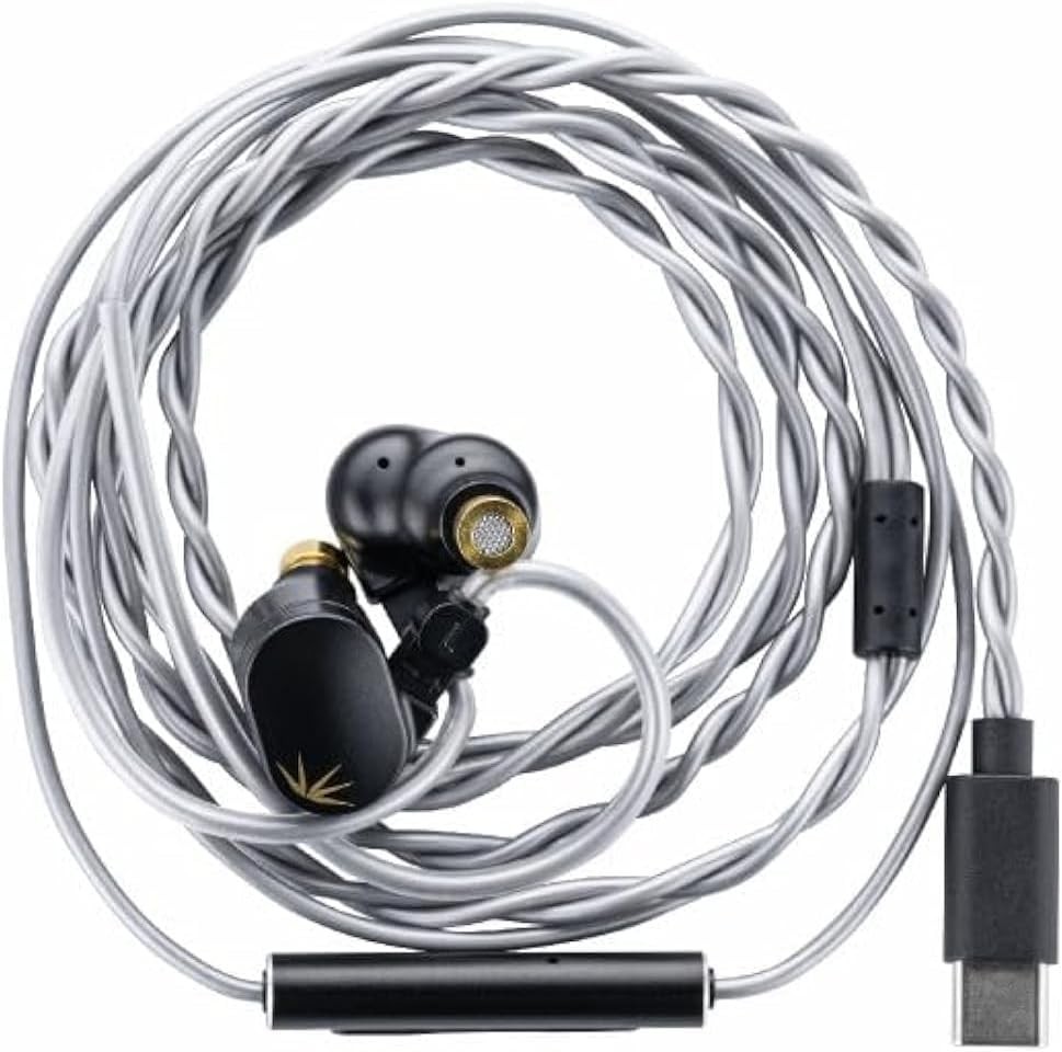 Elegant Black CHU II DSP USB-C In-Ear Monitors with Leather Case & Accessories