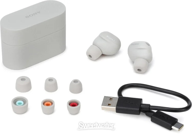 Sony WF-1000XM6 Truly Wireless Earbuds – Platinum Silver