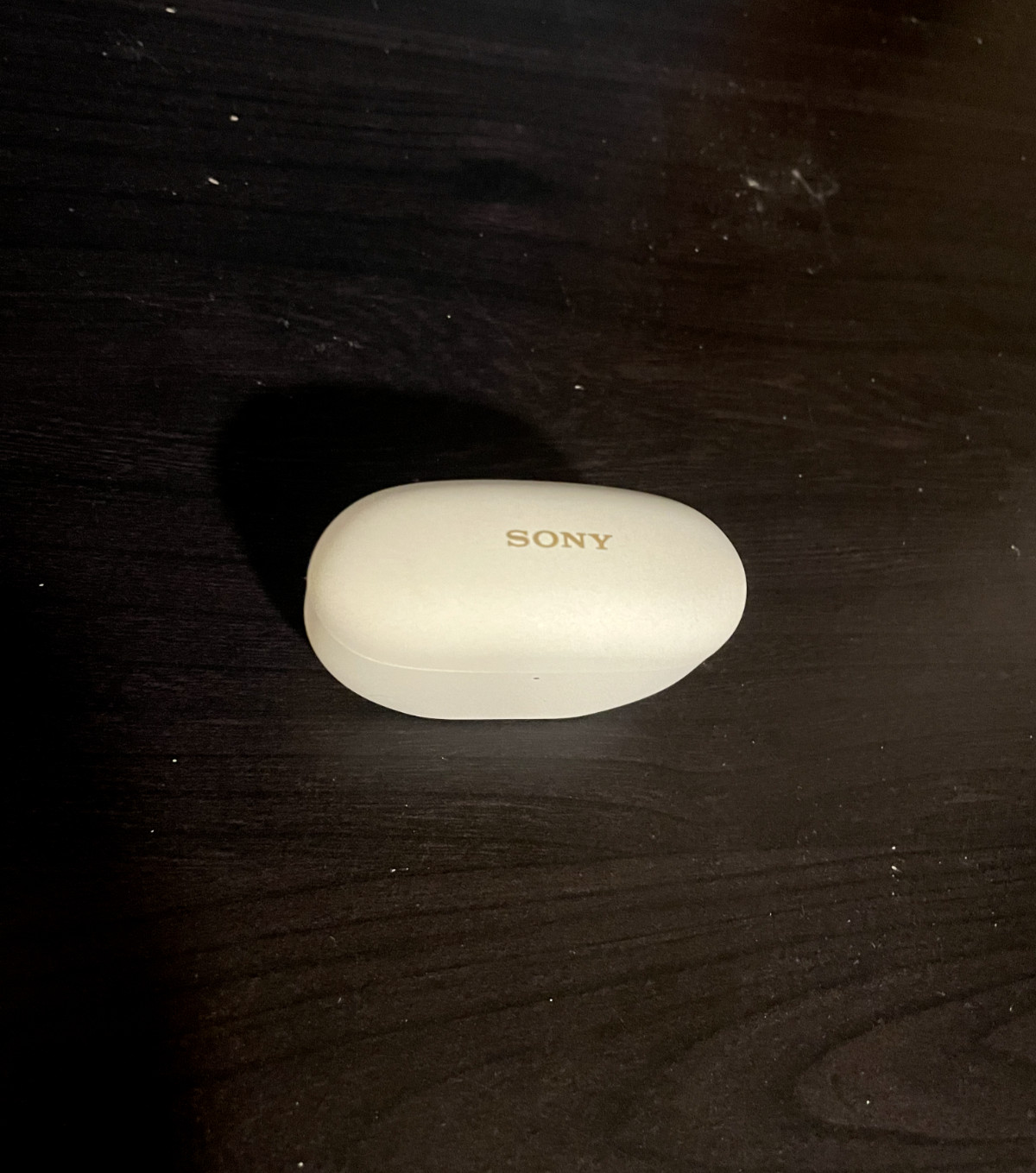 Sony WF-1000XM5 Wireless In-Ear Headphones – Silver