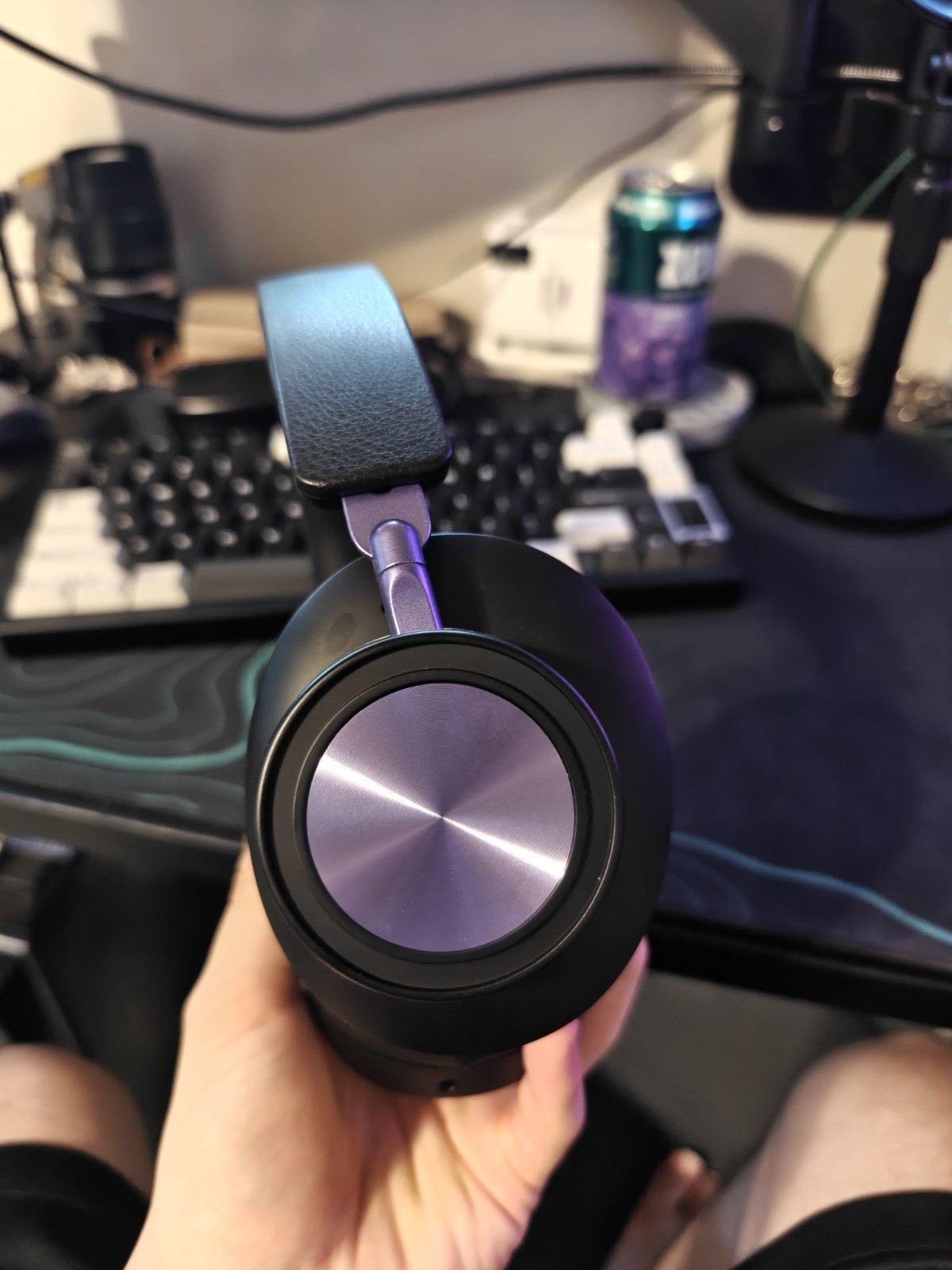 bundle Kiwi Ears x Z Reviews: Serene + Sennheiser HD 599