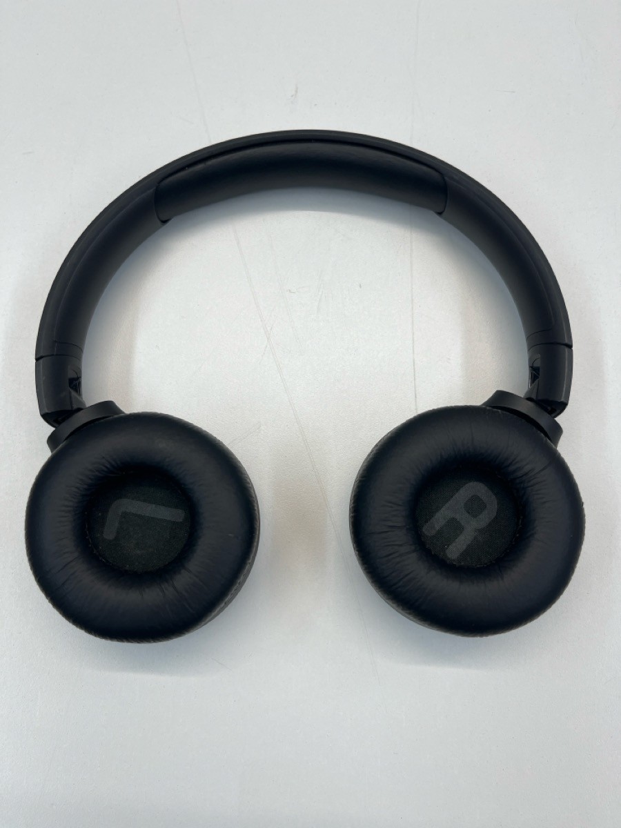JBL TUNE500M (P02027822)