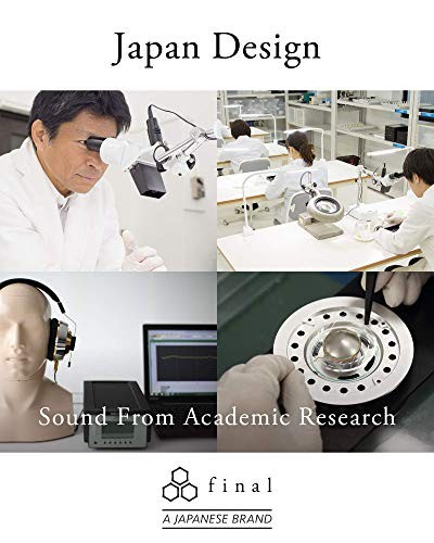 Final E2000 Canal Earphones Matte Black FI-E2DAL New Authentic From Japan