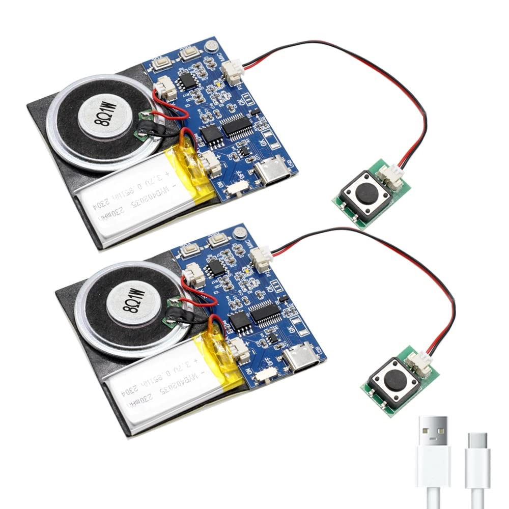 Module – 16MB Push Button Activated Sound Module with Speaker, Type-C Cable, …