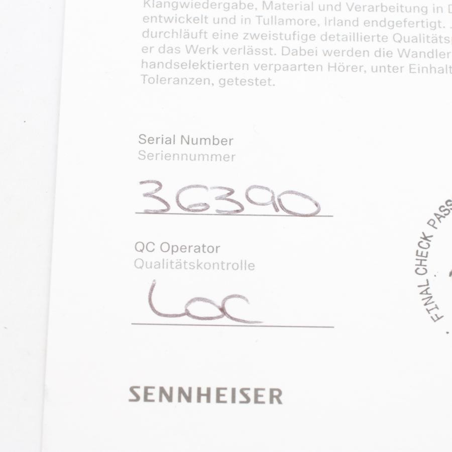DDP Sennheiser IE 900 Flagship In-Ear Headphones IEM Audiophile Mint