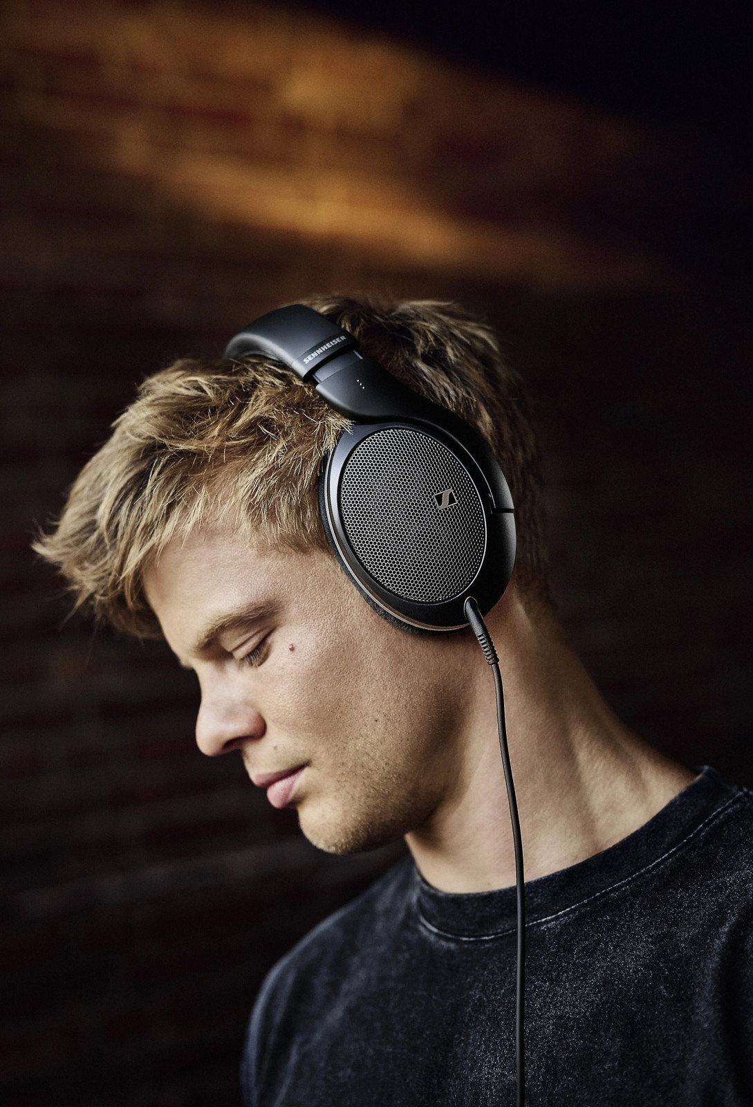 Sennheiser HD550 Over-ear headphones