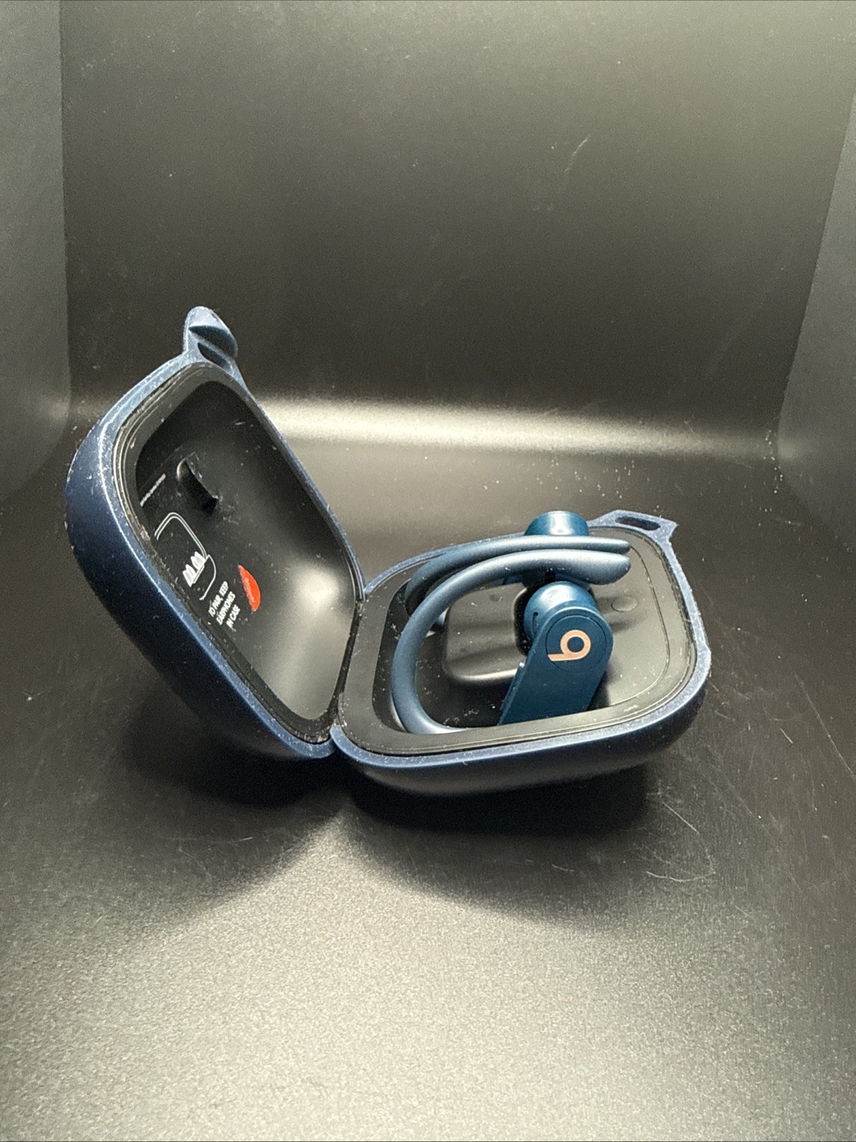 Beats Powerbeats Pro Bluetooth True Wireless Earbuds w/ Charging Case And Protec