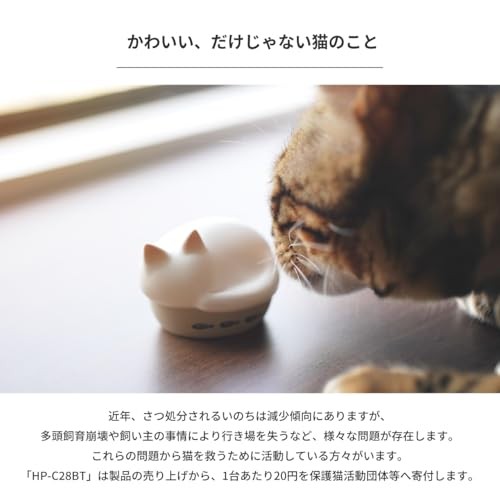 radius NEKO True Wireless Earphones Bluetooth Cat Japan New FS