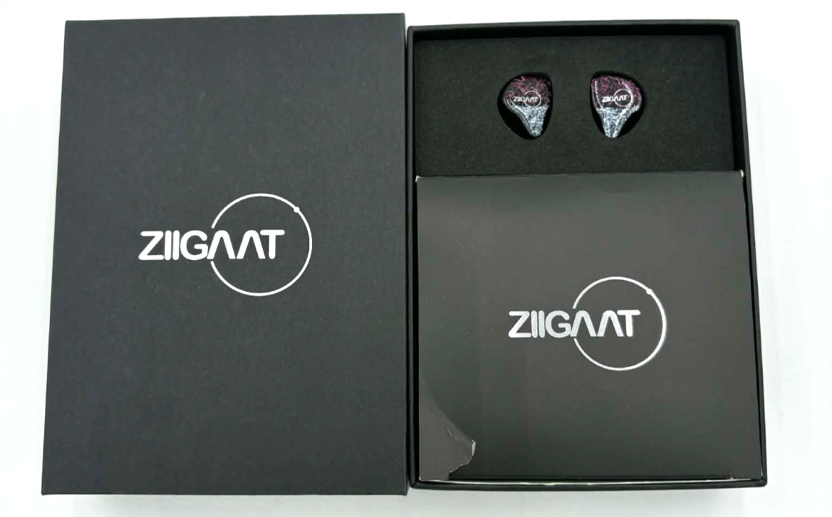 ZiiGaat Odyssey IEM In-Ear monitor Headphones 1DD+3BA Hybrid IEM Earphone