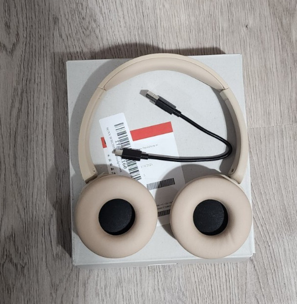 Sony WH-CH520 Over Ear Wireless Bluetooth Headphones WHCH520 – BEIGE
