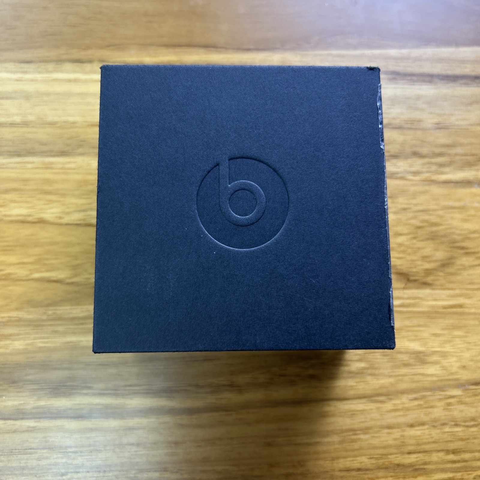 Beats by Dr. Dre Fit Pro True Wireless Earbuds – Sage Gray