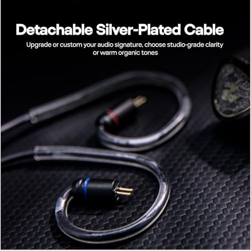 HiFi Wired In-Ear Monitors, 10mm Dynamic Driver Gaming Earbuds, Detachable Cable