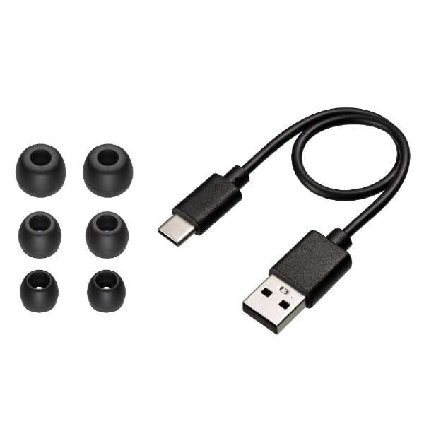 JVC Kenwood Noise Canceling Earphones HA-XC72T-R