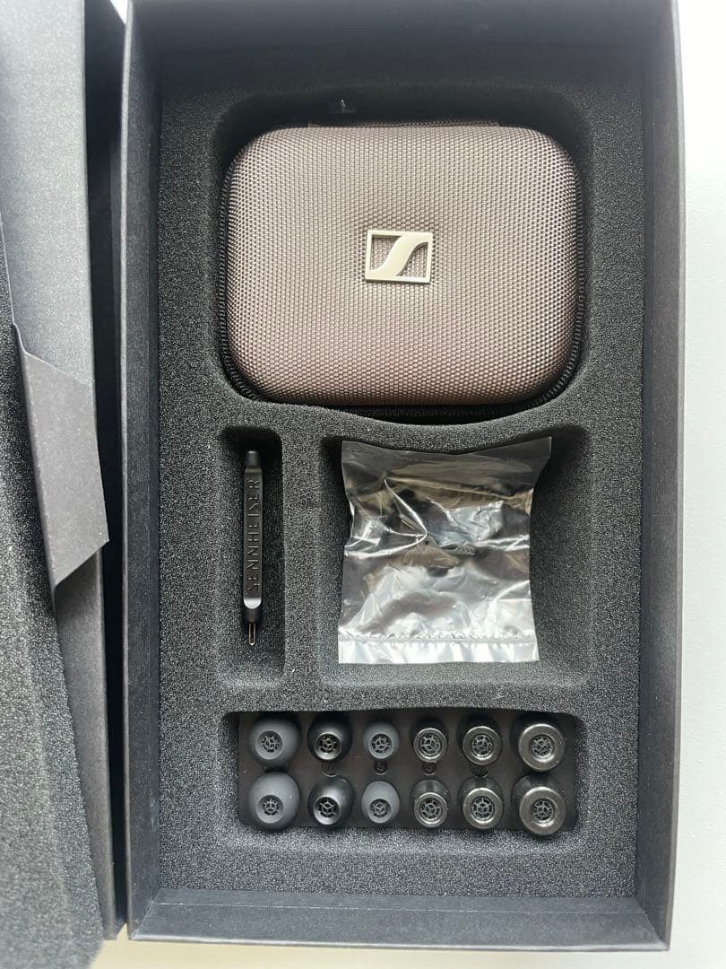 Sennheiser IE 900 In-Ear Earphones Audiophile Headphones Flagship Model