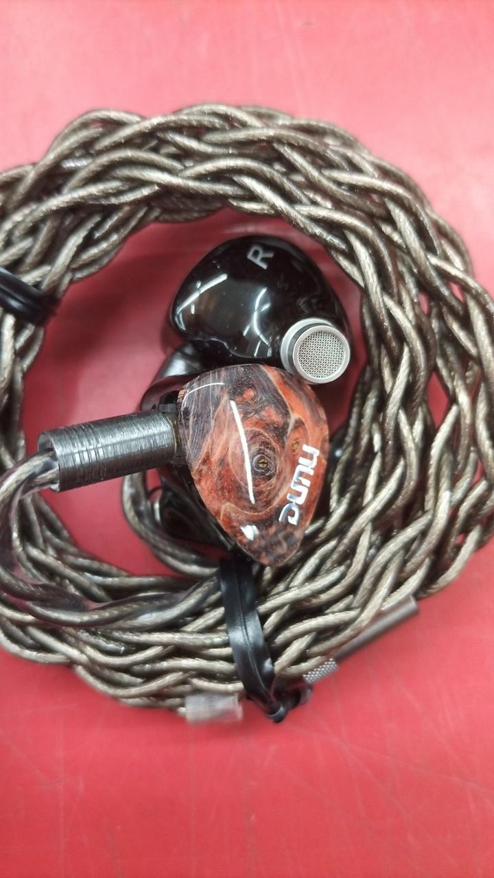 DUNU.TOP SOUND DAVINCI Earphones with Case and Ear Tips