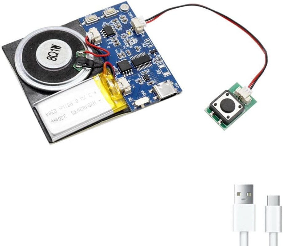 Module – 16MB Push Button Activated Sound Module with Speaker, Type-C Cable, and