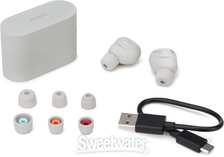 Sony WF-1000XM6 Truly Wireless Earbuds – Platinum Silver