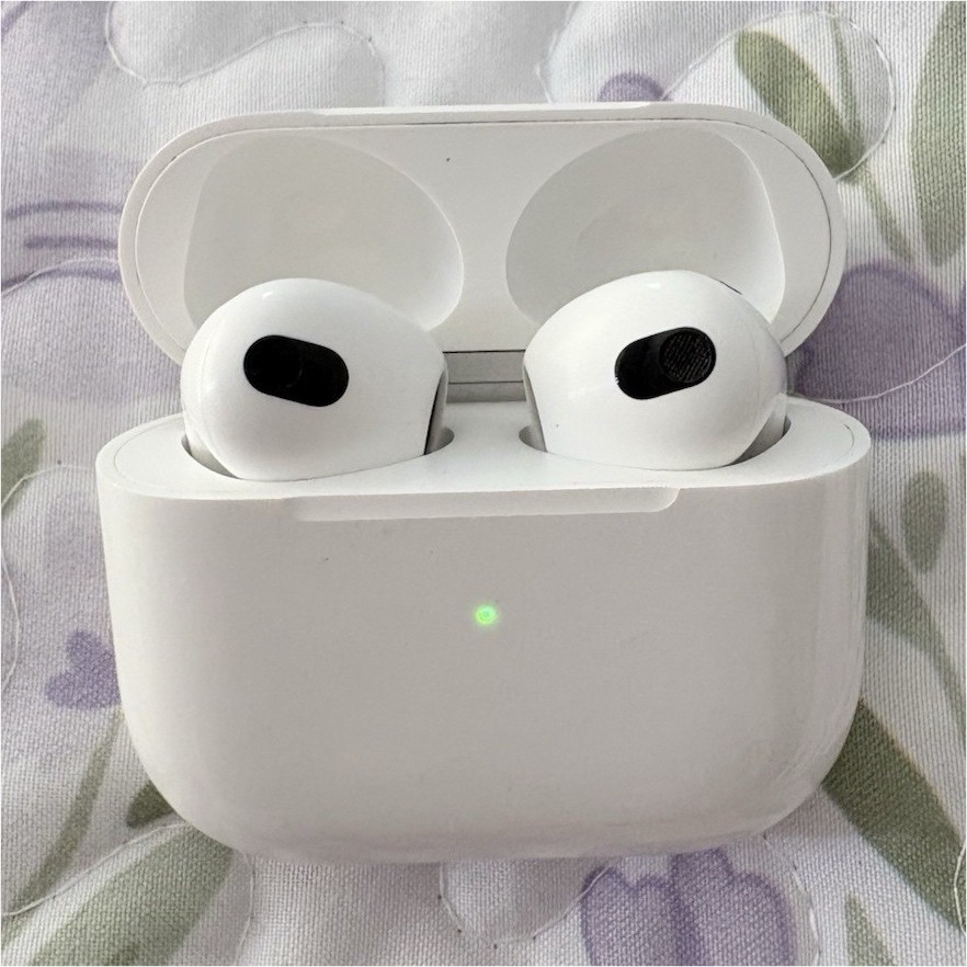 Apple AirPods Pro White In-Ear Bluetooth Earbuds w/ Charging Case. Minor chips.