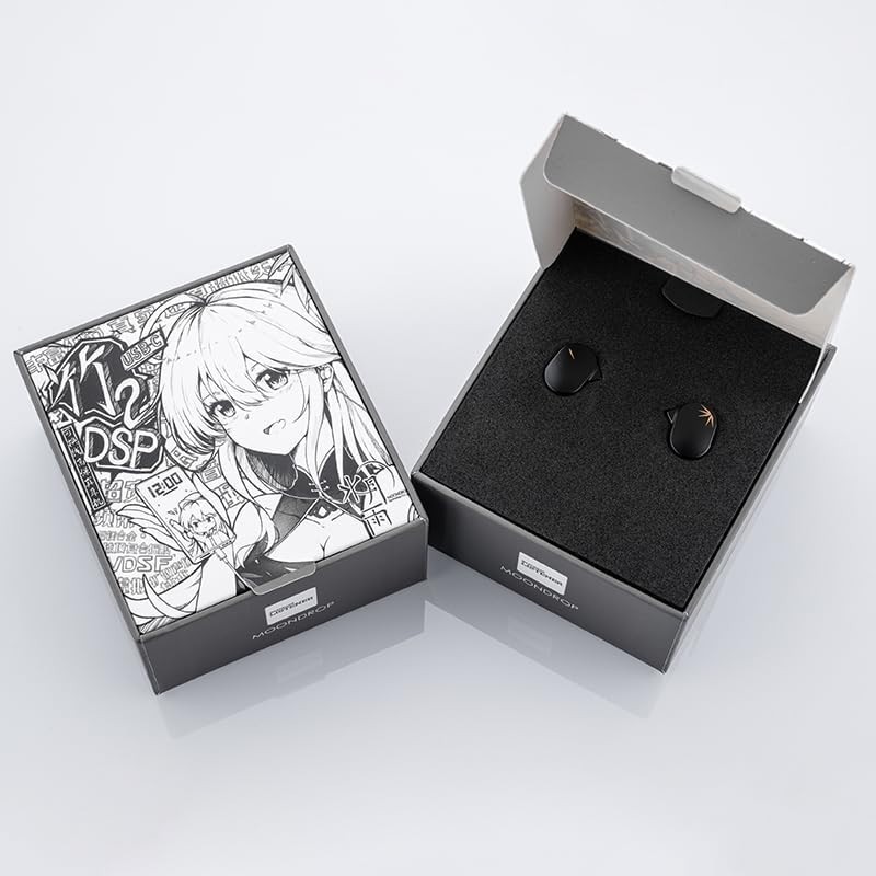 Elegant Black CHU II DSP USB-C In-Ear Monitors with Leather Case & Accessories
