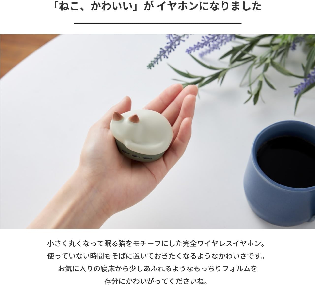 radius NEKO True Wireless Earphones Bluetooth Mike HP-C28BTM Japan New