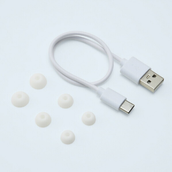 radius NEKO True Wireless Earphones Bluetooth Mike HP-C28BTM Japan New