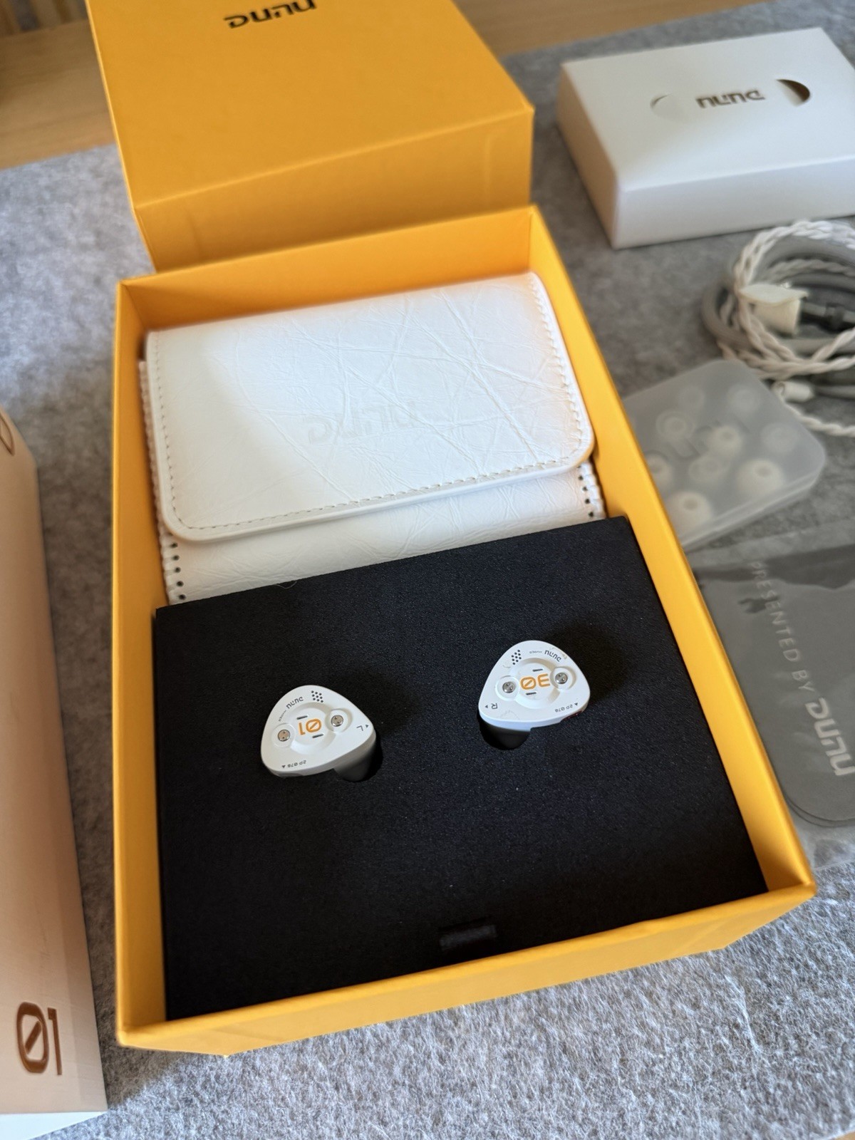 DUNU DK3001BD Braindance IEMs 2-Pin Version HiFi Audiophile