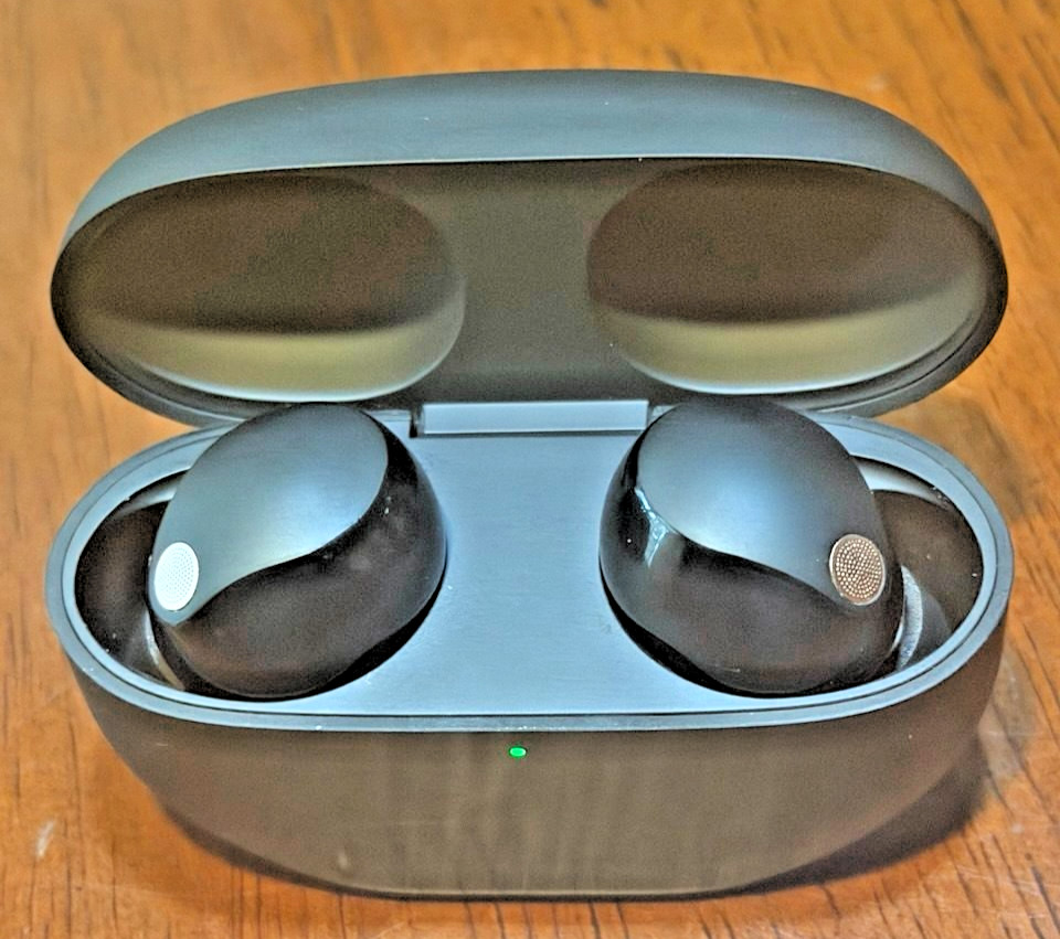 Sony WF-1000XM5/B Wireless Noise Cancelling Earbuds – Black – USED – Works Great