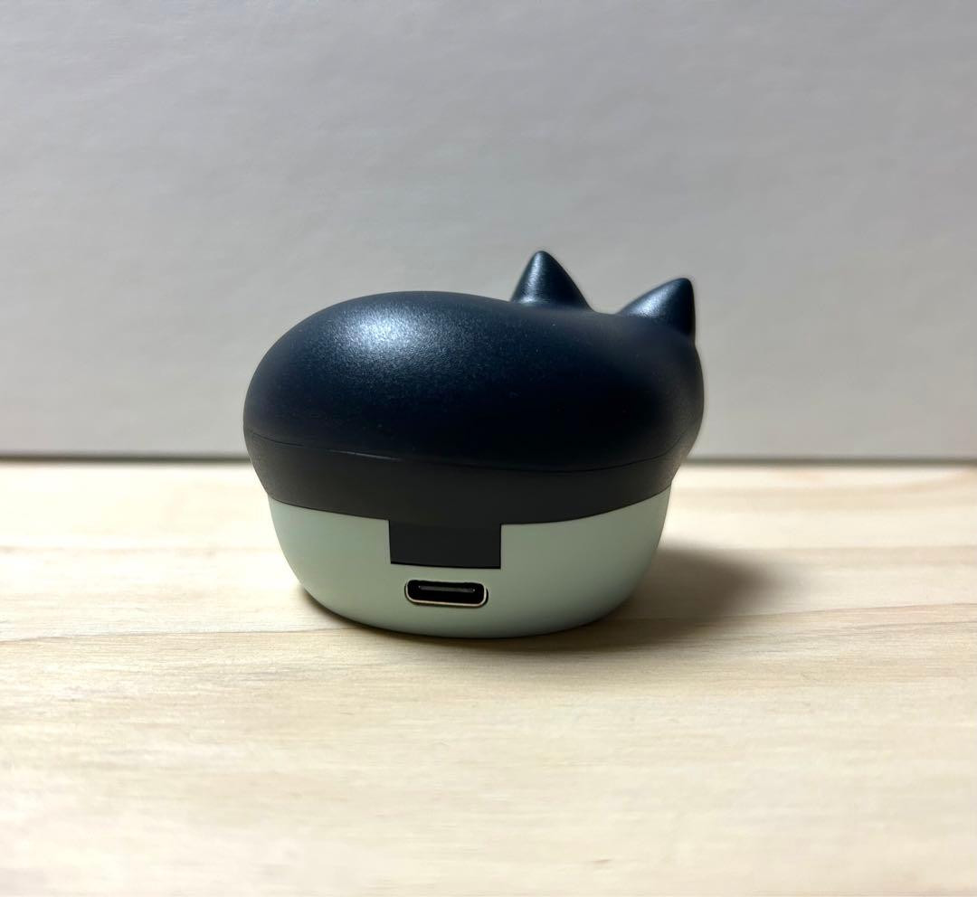 radius NEKO True Wireless Earphones Bluetooth Black HP-C28BTK Audio Player