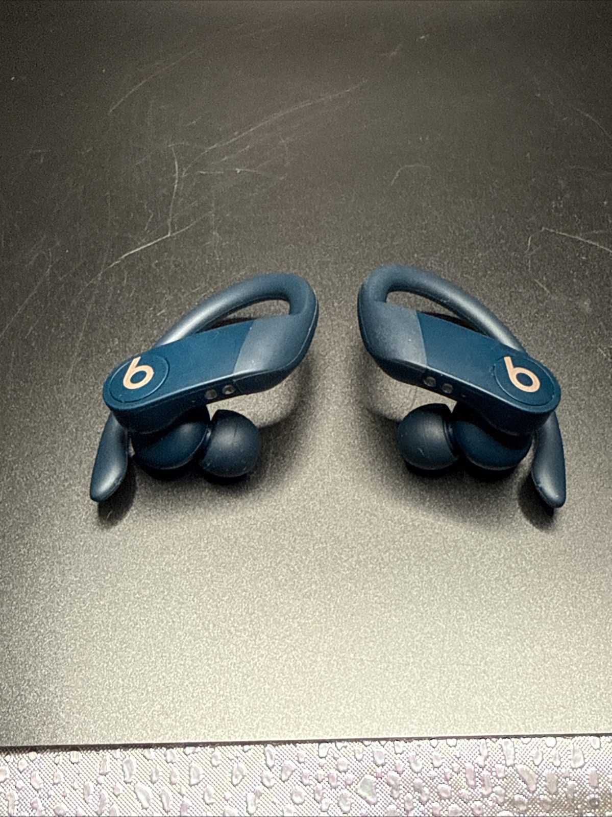 Beats Powerbeats Pro Bluetooth True Wireless Earbuds w/ Charging Case And Protec