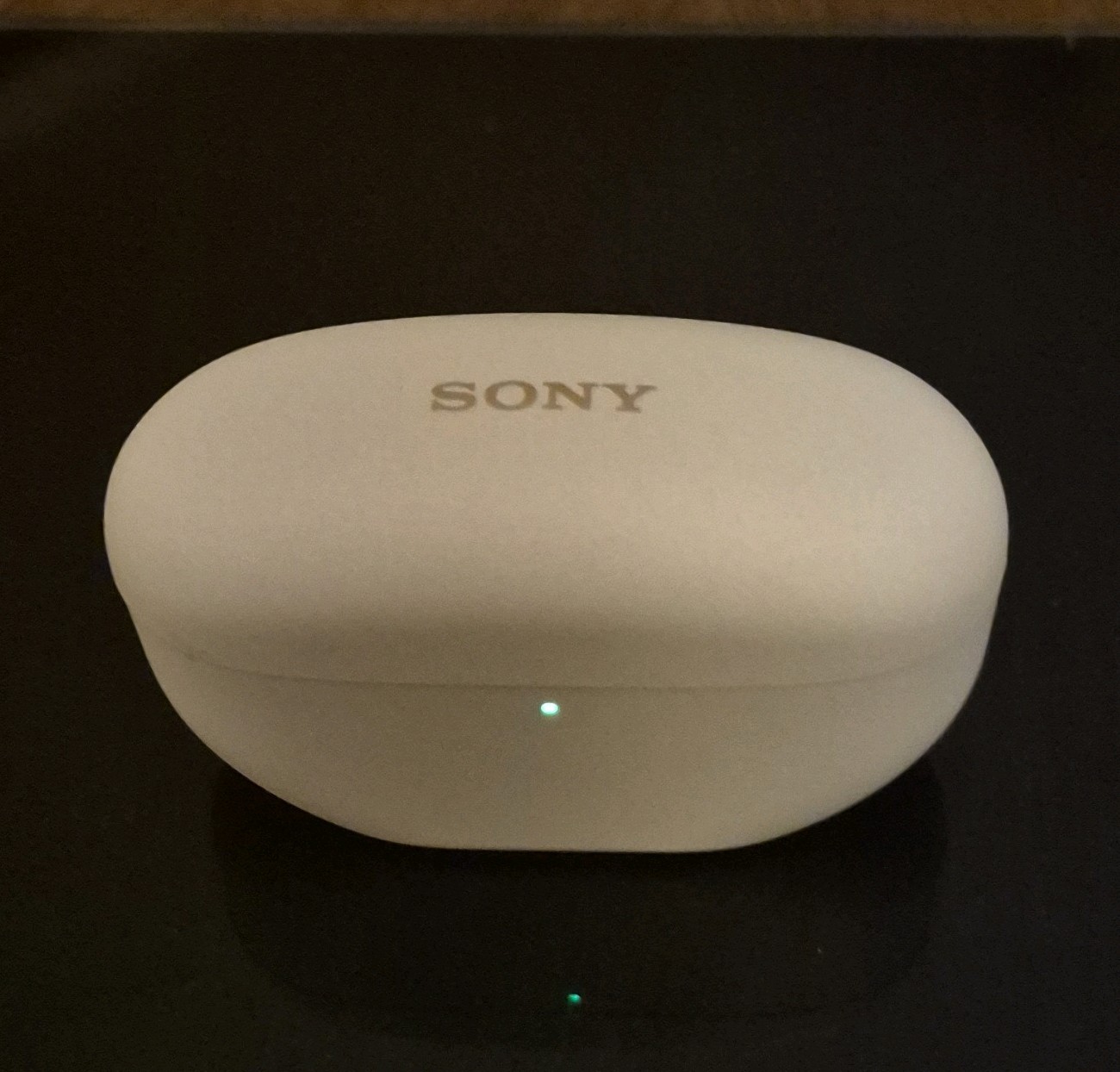 Sony WF-1000XM5 Truly Wireless Bluetooth Replacement – Silver – CHARGING CASE