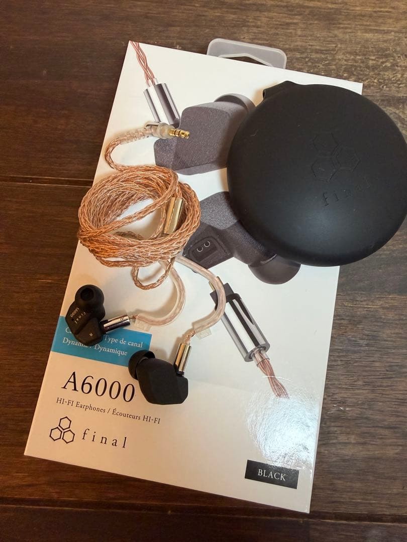 Final Audio A6000 High-Precision In-Ear Earphones Earbuds IEM