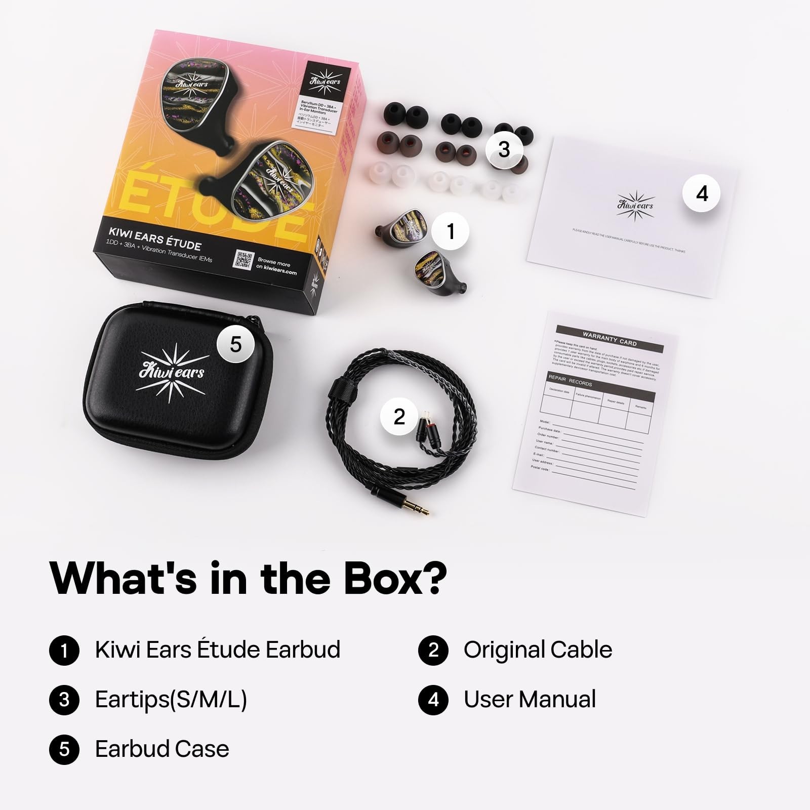 Linsoul Kiwi Ears Étude 3BA+1DD+1BN Hybrid Driver IEMs