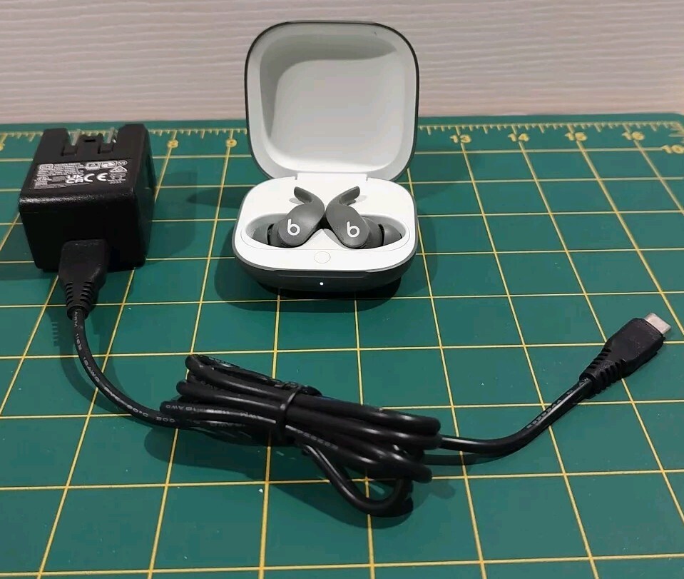 Genuine Apple / Beats Fit Pro Earbuds A2577 With Case & Charger – SAGE GRAY