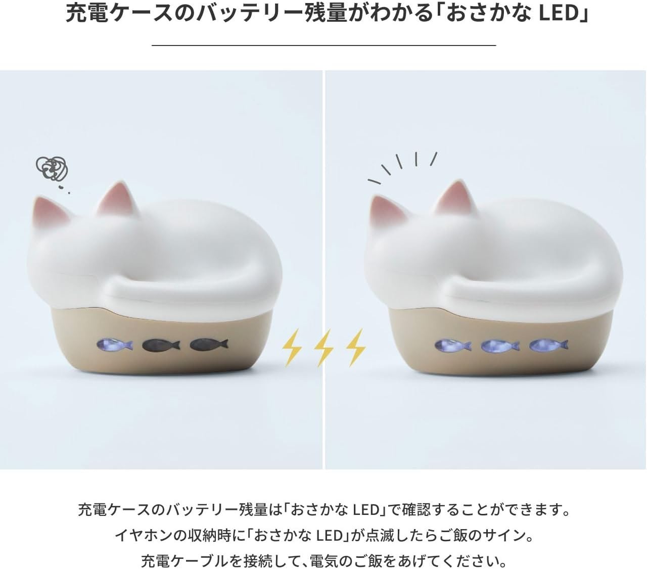 radius NEKO True Wireless Earphones Bluetooth Mike HP-C28BTM Japan New