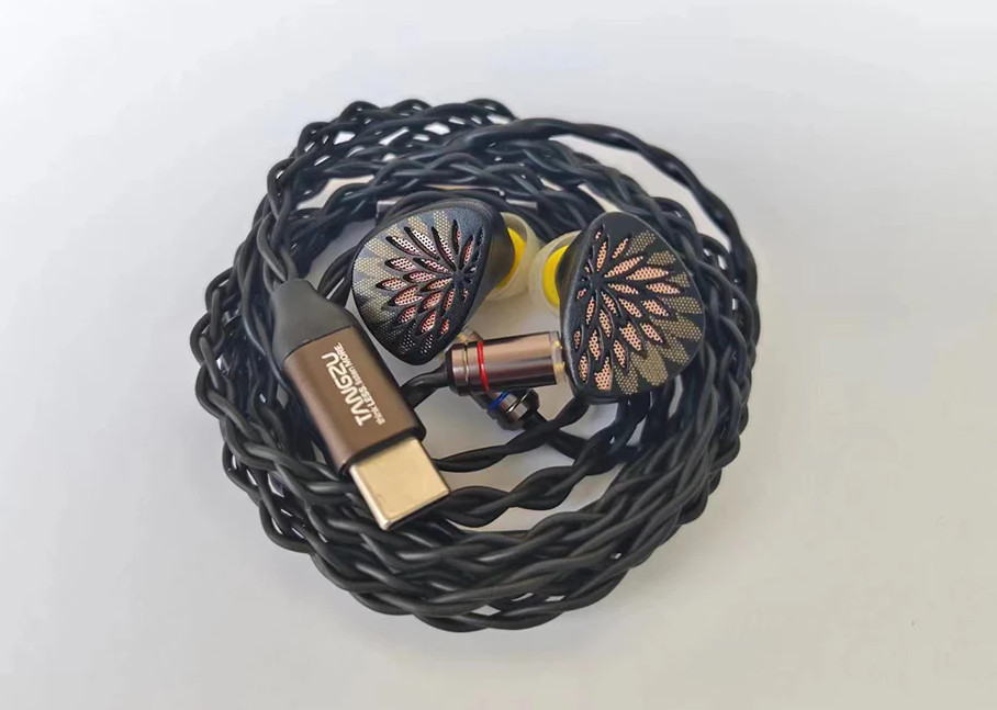 TANGZU YuXuanJi TPLX 10mm Topology Dynamic Driver Zinc Construction In-Ear Headp