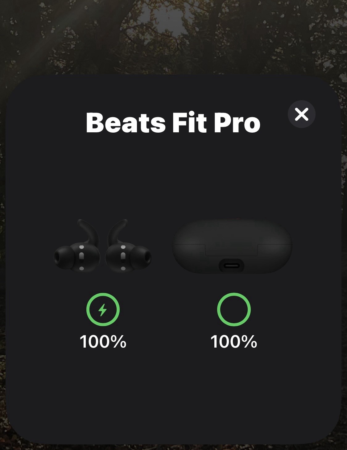 Original Apple Beats Fit Pro Bluetooth Earbuds A2577 Black