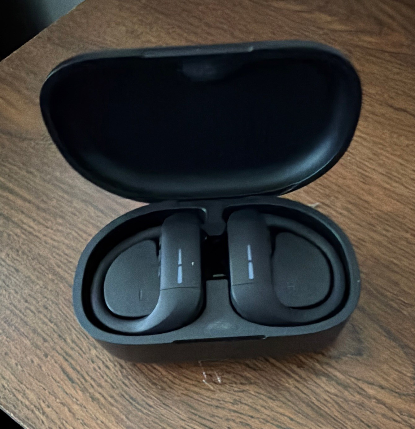 Skullcandy Push Active True Wireless Sport Ear-Hook Earbuds Mic 12mm Black