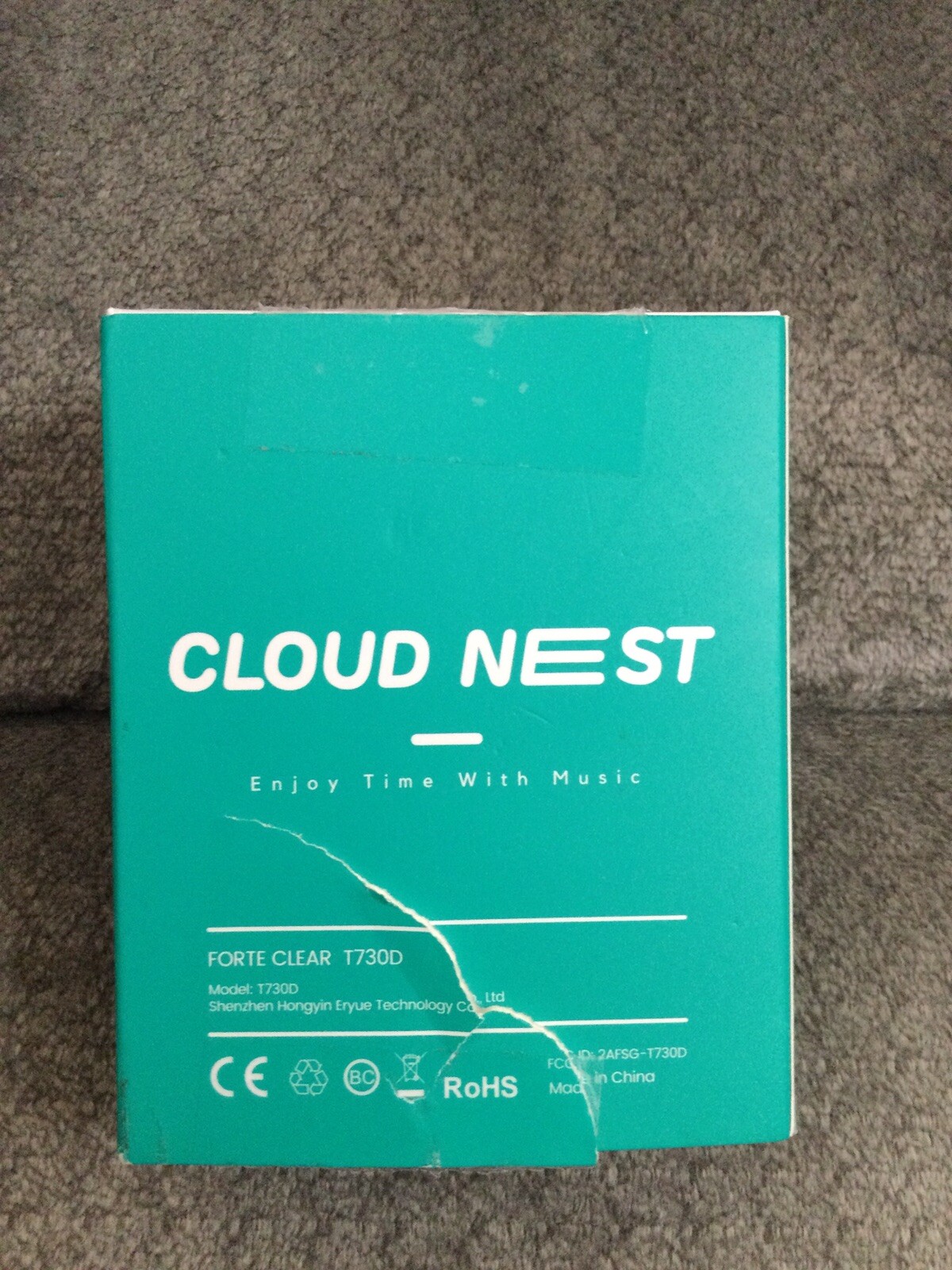 New Forte Clear T730D Cloud Nest Bluetooth Earbuds, Charging Case, White