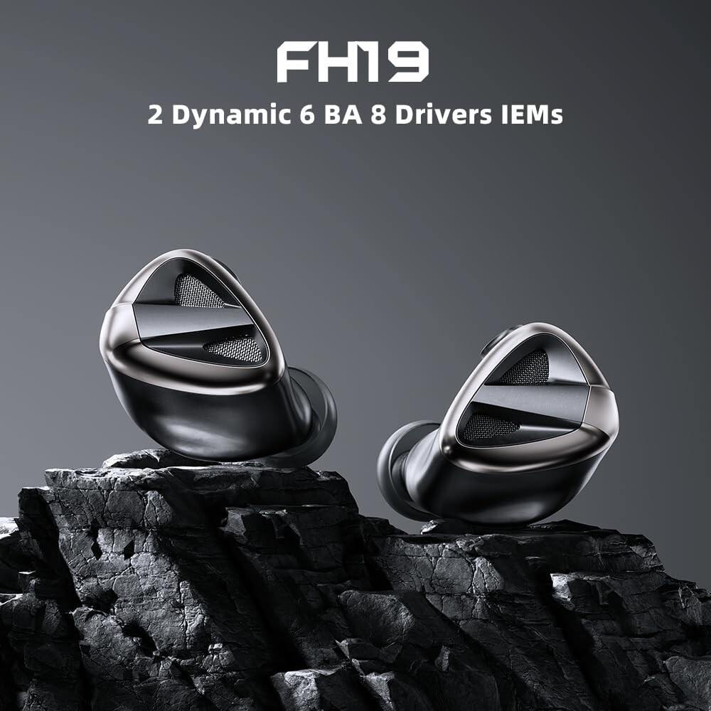 FiiO FH19 HiFi IEM Earphone, 2 Dynamic+ 6 BA Hybrid Driver IEM, Detachable MMCX