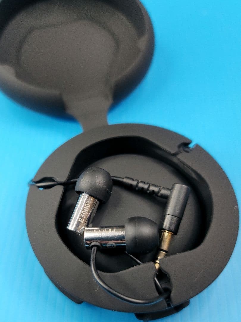 final E3000 FI-E3DSS Wired In-Ear Earphones w/ Silicone Carry Case Japan